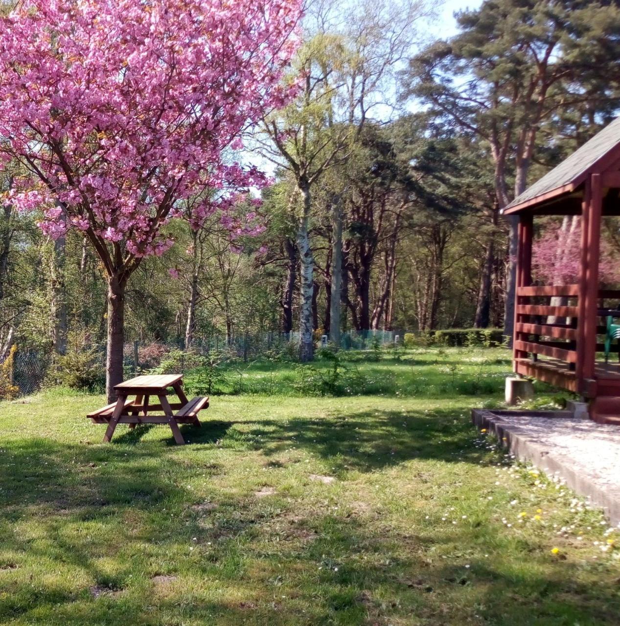 Camping Les Falaises De Toussaint Exterior foto